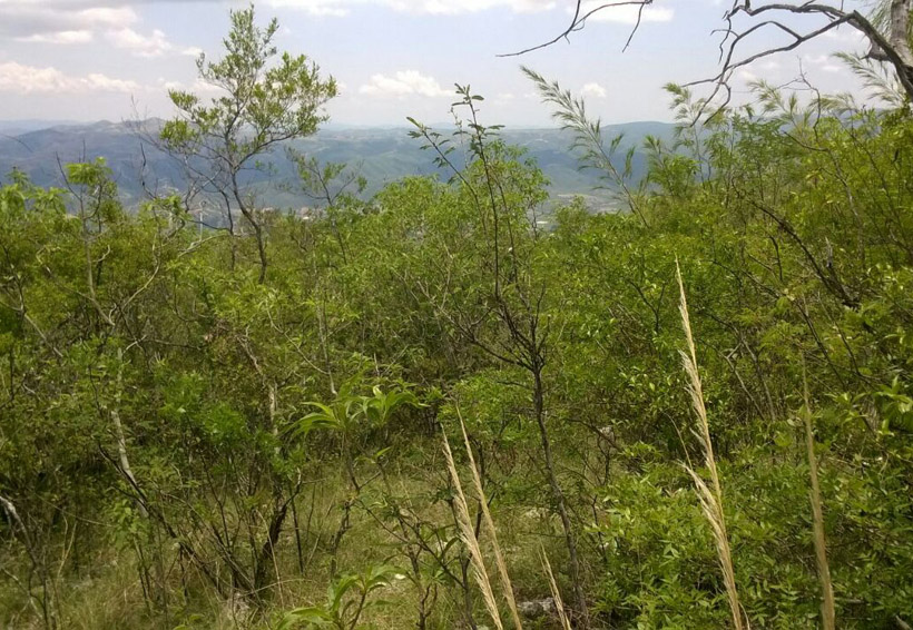 Investigan la biodiversidad  de reserva El Boquerón