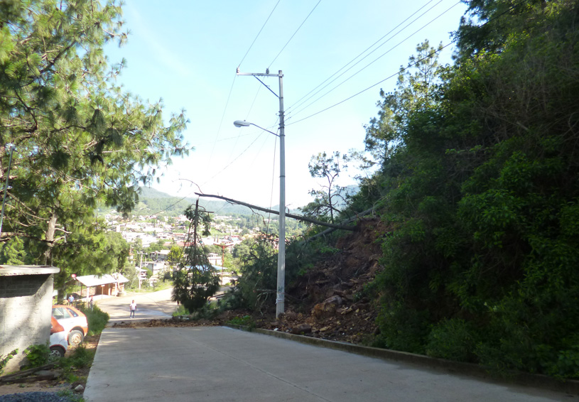 Cae árbol por deslave de cerro en Tlaxiaco