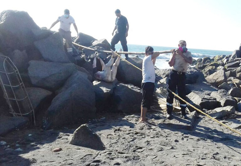 Localizan cuerpo de joven ahogado | El Imparcial de Oaxaca Localizan cuerpo de joven ahogado | El Imparcial de Oaxaca