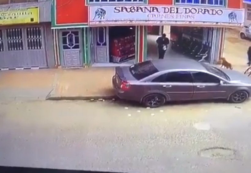 Video: Es cruelmente asaltado por un perro al salir de una carnicería | El Imparcial de Oaxaca Video: Es cruelmente asaltado por un perro al salir de una carnicería | El Imparcial de Oaxaca