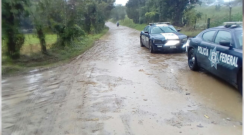Cinco ejecutados en zona de Tuxtepec; entre ellos un niño | El Imparcial de Oaxaca Cinco ejecutados en zona de Tuxtepec; entre ellos un niño | El Imparcial de Oaxaca