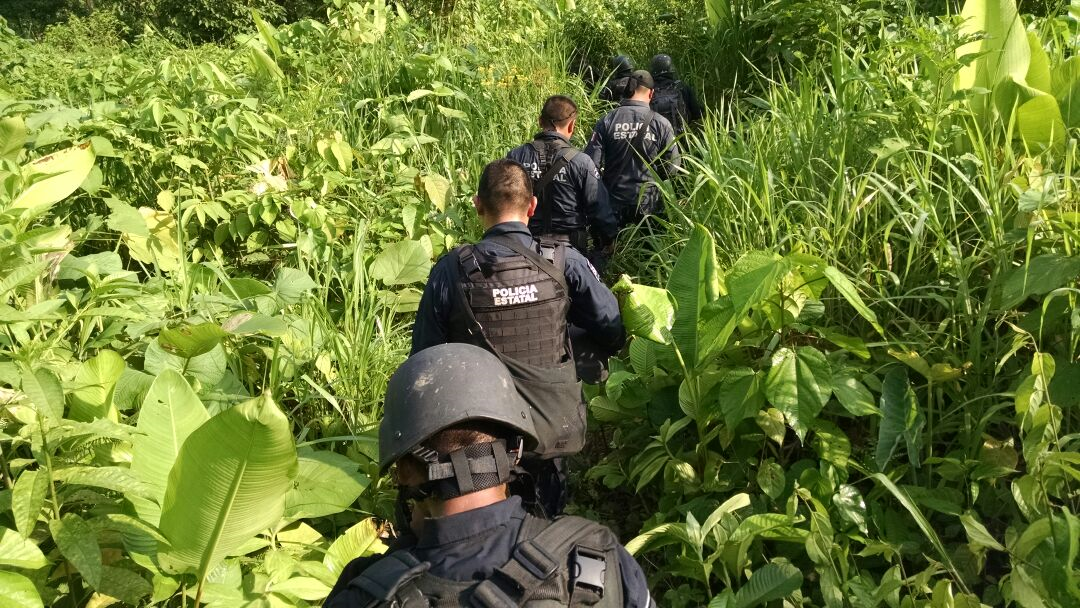 Indagan feminicidio en región Mixe de Oaxaca | El Imparcial de Oaxaca Indagan feminicidio en región Mixe de Oaxaca | El Imparcial de Oaxaca