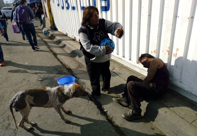 Pelean alcohólicos en la Central de Abastos de Oaxaca. Noticias en tiempo real