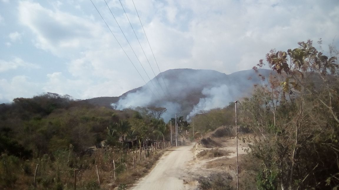 Incendios,la constante en Huatulco; siete en lo que va del año. Noticias en tiempo real