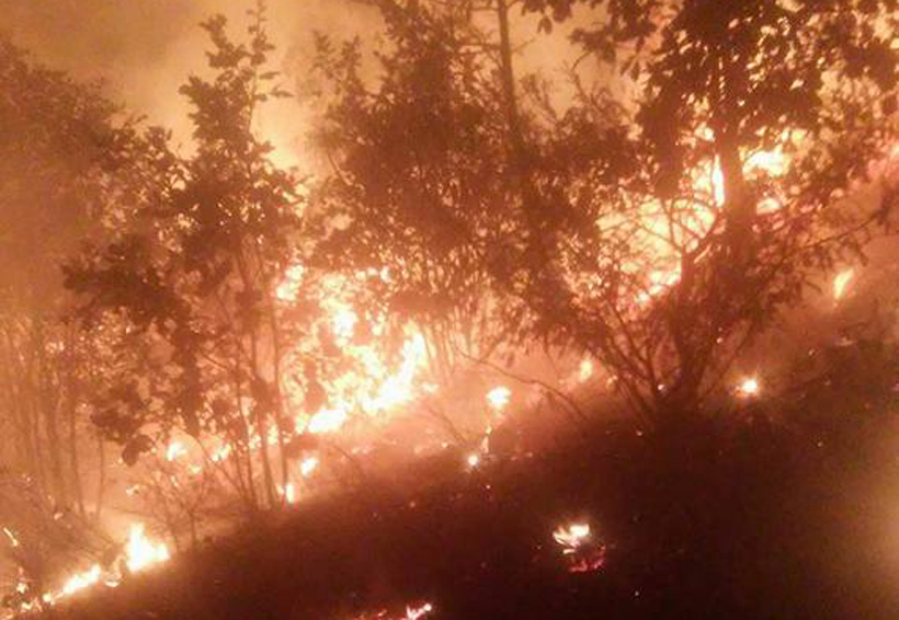 Combate Conafor diversas conflagraciones en Oaxaca. Noticias en tiempo real