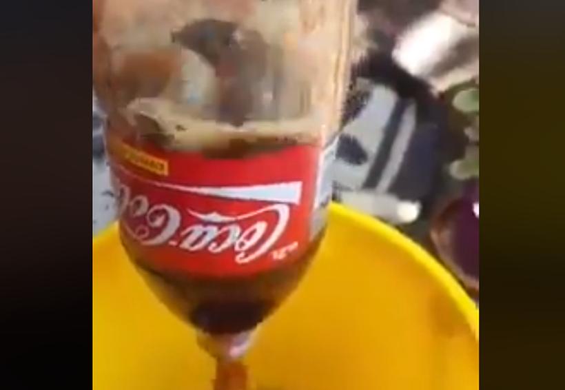 Encuentra un roedor en su Coca-Cola. Noticias en tiempo real