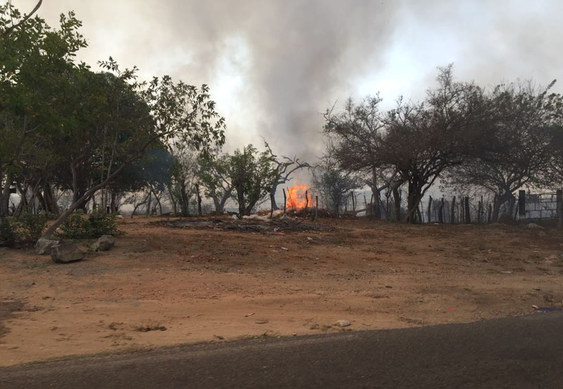 Incendios devastan a la Costa de Oaxaca. Noticias en tiempo real