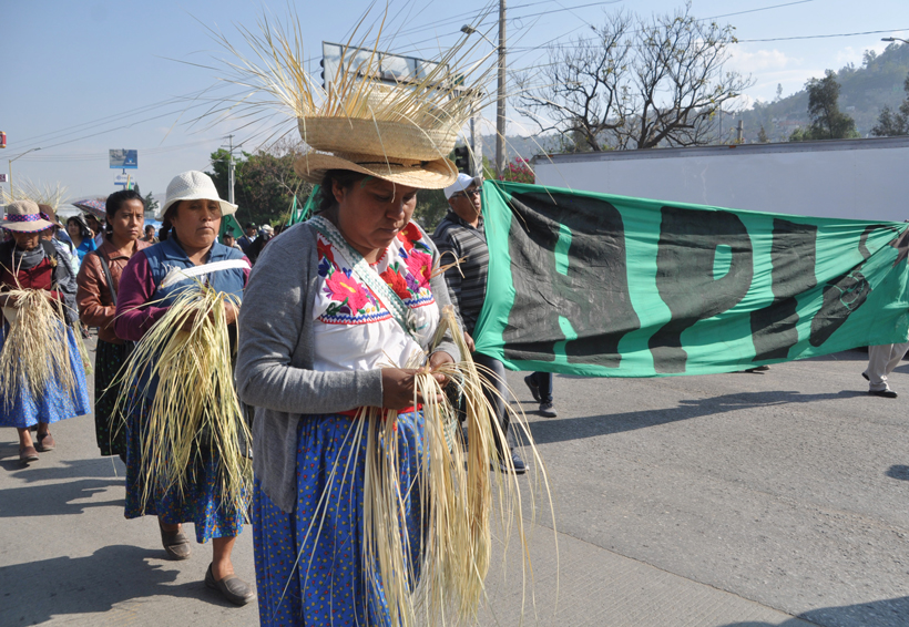 En Oaxaca, recuerdan el legado de Emiliano Zapata. Noticias en tiempo real