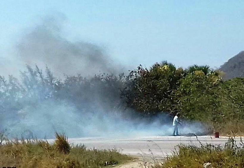 Vecinos del Istmo apagan  incendio de  pastizales. Noticias en tiempo real
