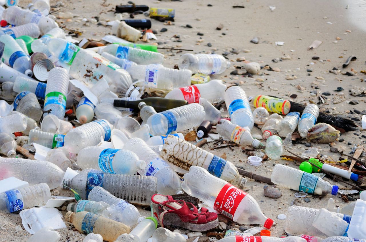 Enzima que destruye el plástico es creado por accidente. Noticias en tiempo real