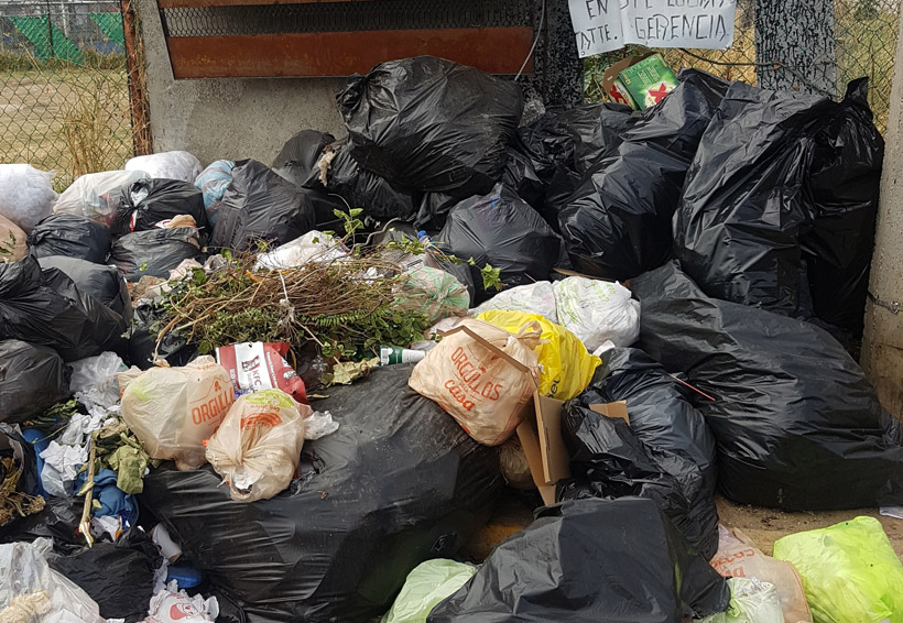 Se saturan de basura las calles de la capital de Oaxaca. Noticias en tiempo real