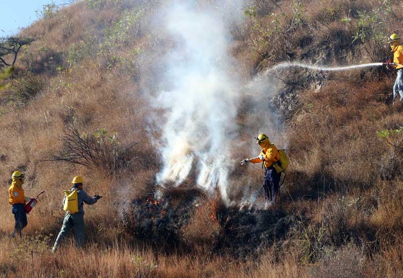 Oaxaca ocupa primer sitio en hectáreas afectadas por incendios forestales. Noticias en tiempo real