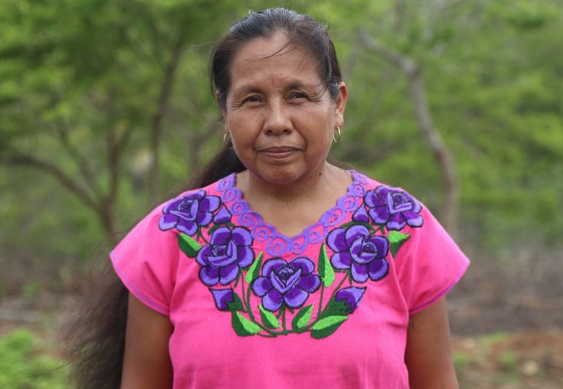 “Marichuy” denuncia la desaparición de líderes indígenas en Jalisco. Noticias en tiempo real