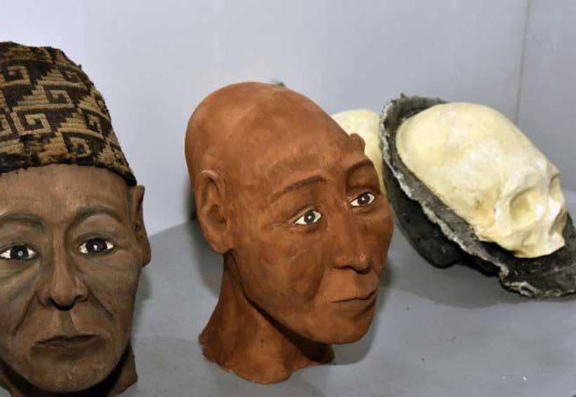 Reconstruyen 3 cráneos de la milenaria cultura tiwanaku. Noticias en tiempo real
