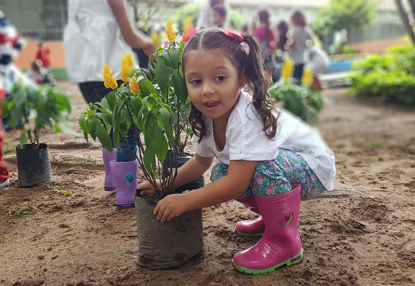 Involucrar a los niños en la jardinería puede tener muchos beneficios. Noticias en tiempo real