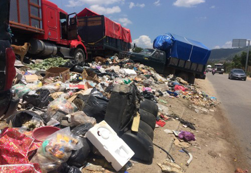 En Oaxaca el reciclaje es un mito. Noticias en tiempo real