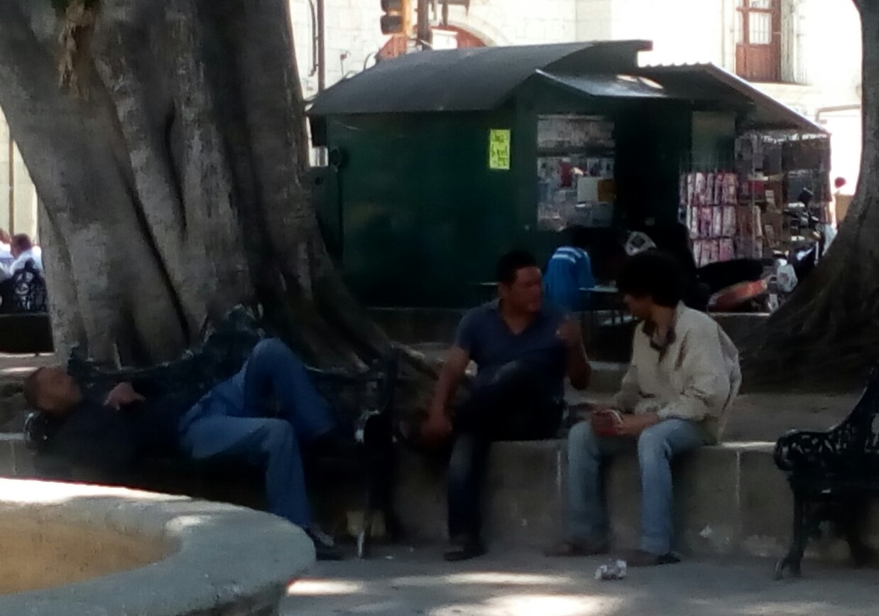 Exigen retirar “borrachines” que  invaden Centro Histórico de Oaxaca. Noticias en tiempo real