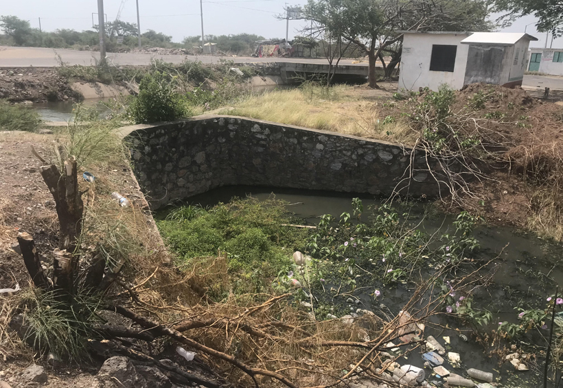 Vecinos del IVO exigen limpieza  de drenes. Noticias en tiempo real