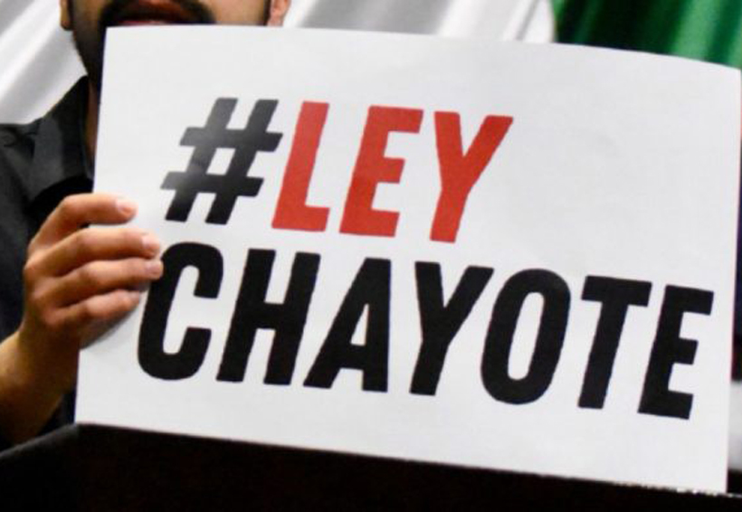 “Nos sorprendió publicación de #LeyChayote; es un descaro del gobierno de EPN”: Artículo 19. Noticias en tiempo real