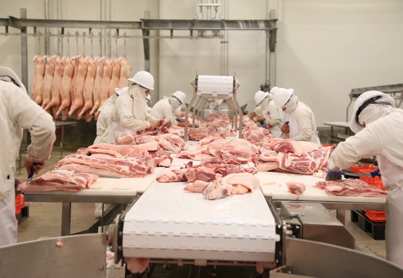 México importaría carne de cerdo desde Canadá, Chile y España, por aranceles a EU. Noticias en tiempo real