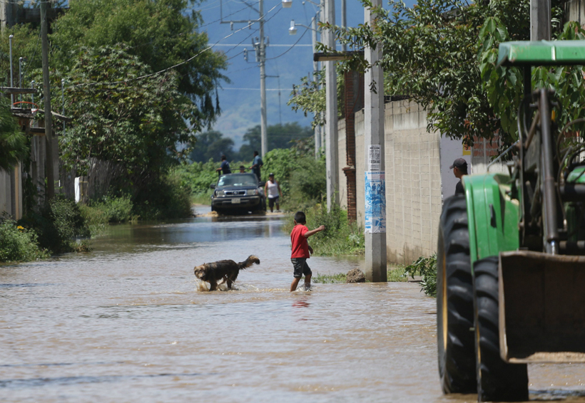 Emiten alerta en Oaxaca por tormenta tropical ‘Carlotta’. Noticias en tiempo real