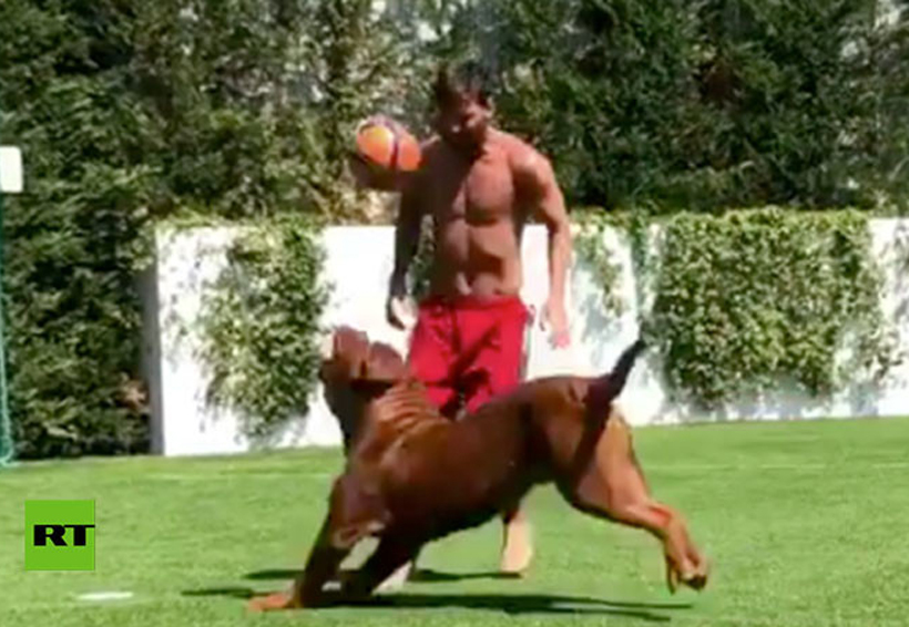 VIDEO: Messi vuelve loco a su enorme perro jugando al fútbol. Noticias en tiempo real