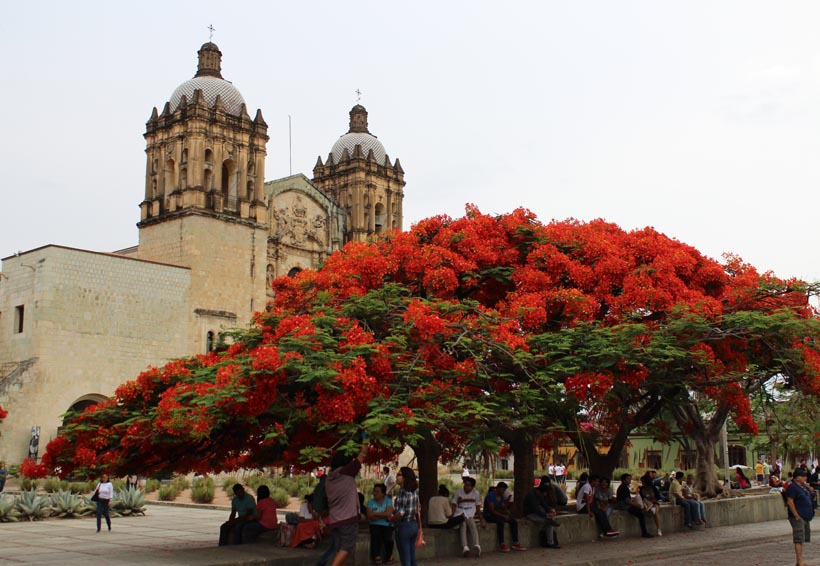 Carta aboga por el patrimonio de Oaxaca. Noticias en tiempo real