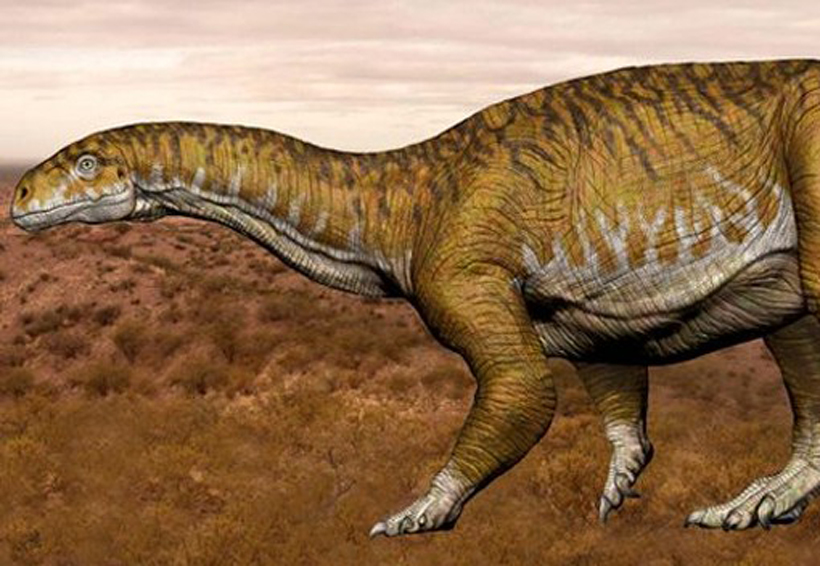 “Ingenia prima”: el primer dinosaurio que alcanzó el gigantismo. Noticias en tiempo real