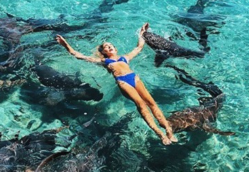Por foto para Instagram, modelo es mordida por un tiburón. Noticias en tiempo real