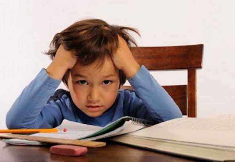 Exceso de tareas afecta la vida de los niños. Noticias en tiempo real