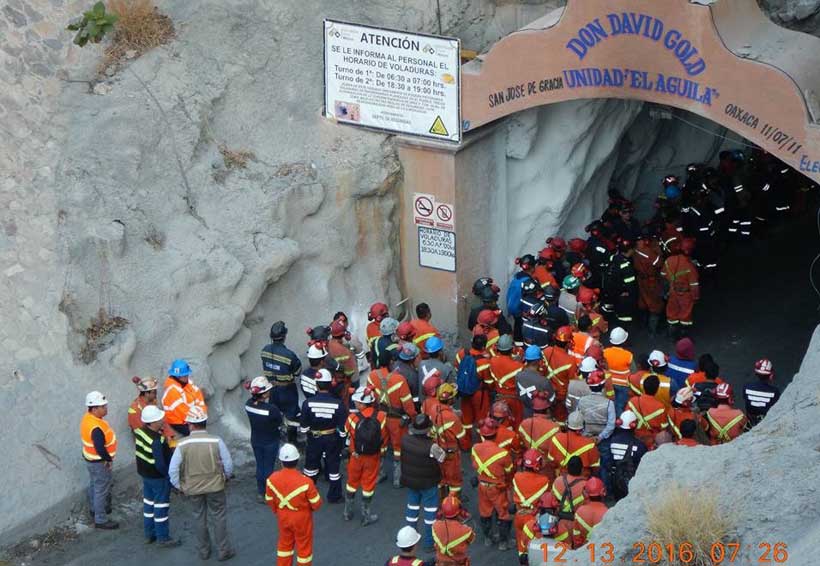 Halla Don David en Oaxaca una mina de oro. Noticias en tiempo real