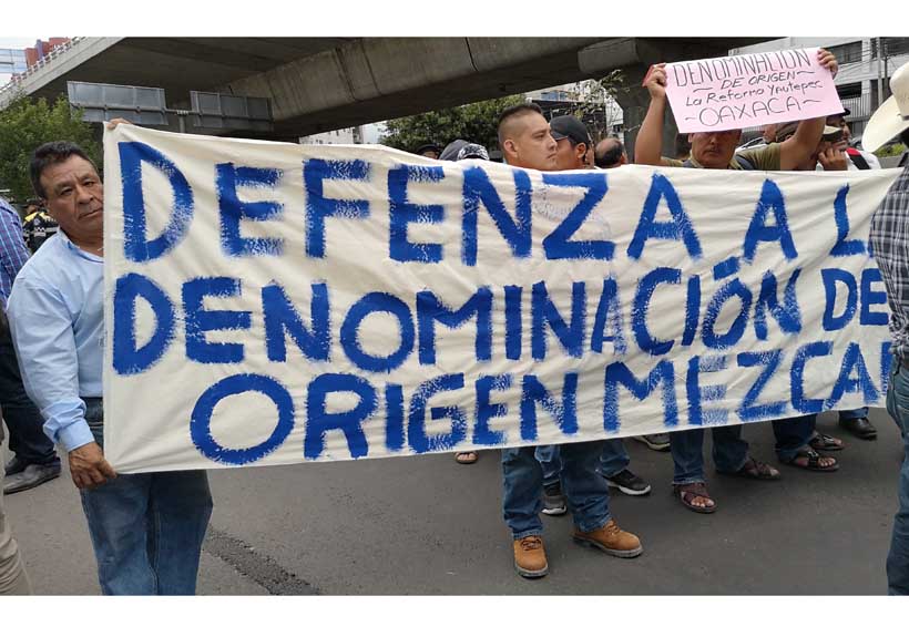 Con movilizaciones en la Ciudad de México, defienden el mezcal con uñas y dientes. Noticias en tiempo real