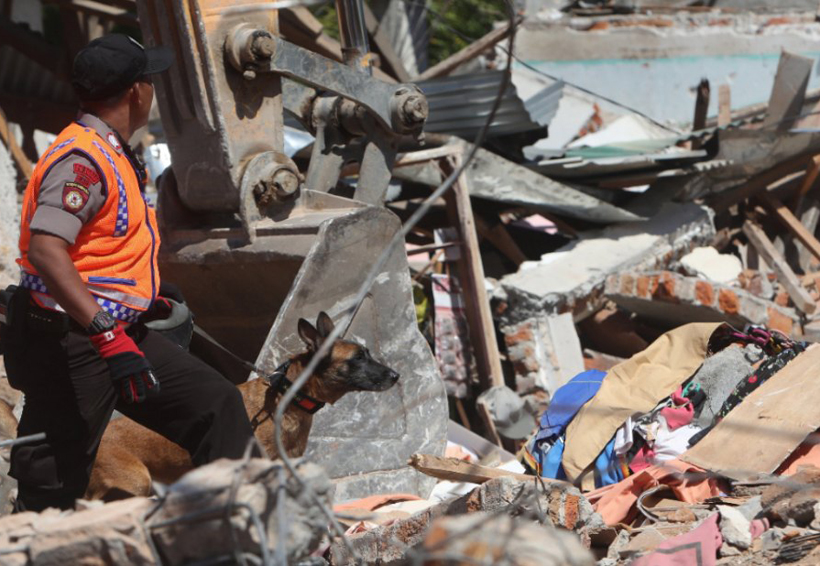 Aumenta a 436 los muertos por terremoto en Indonesia. Noticias en tiempo real