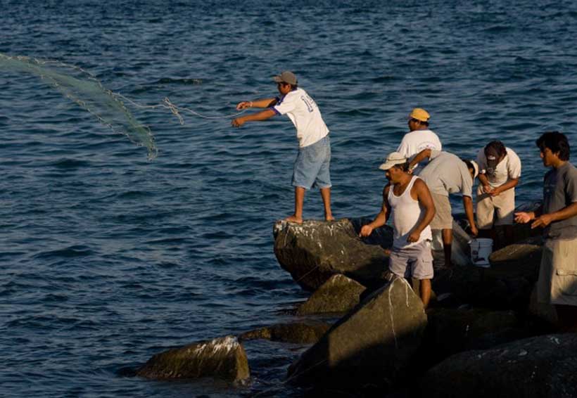 En Oaxaca, destinan a la pesca más de 32 mdp al año. Noticias en tiempo real