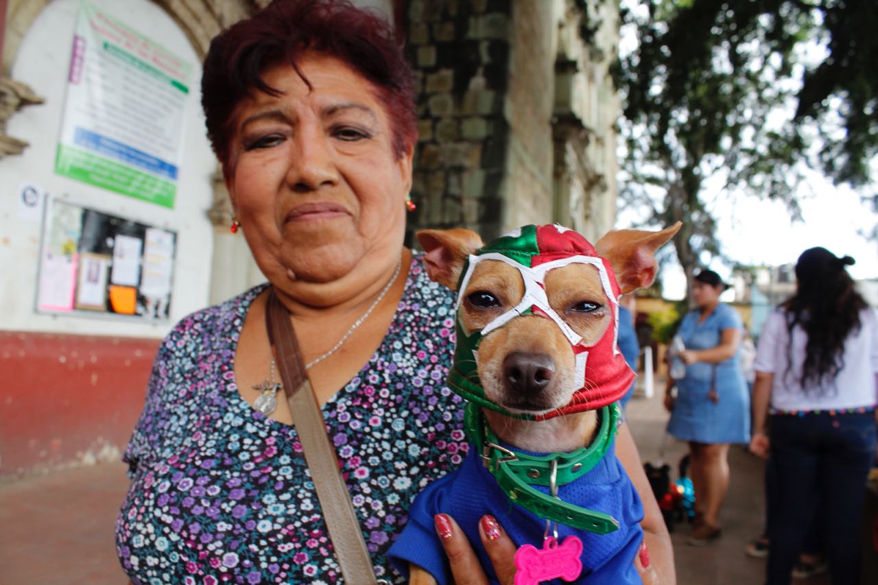 Conservan en Oaxaca la tradición de bendecir animales en el día de San Ramón Nonato. Noticias en tiempo real