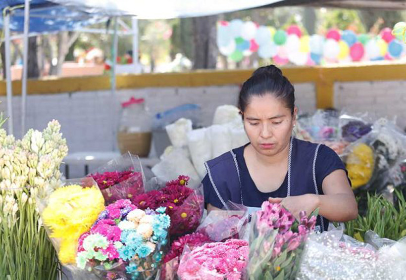 Llegó turismo a Oaxaca, pero no se reflejó en las  ventas: comerciantes. Noticias en tiempo real