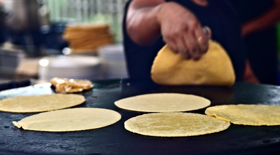 Pan y tortillas mexicanos, riesgo para la salud de las personas: estudio. Noticias en tiempo real