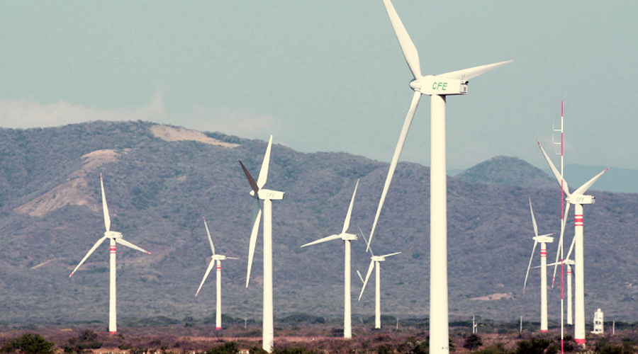 Oaxaca, principal fuente de energía eólica: CFE. Noticias en tiempo real