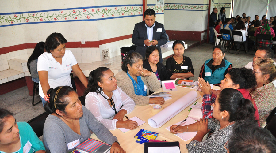 Apenas 28% de mujeres  tiene derechos agrarios en Oaxaca. Noticias en tiempo real