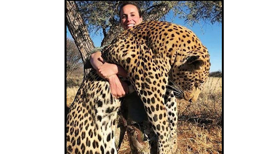 Cazadora mata a uno de los leopardos más grandes del mundo y lo presume en redes. Noticias en tiempo real
