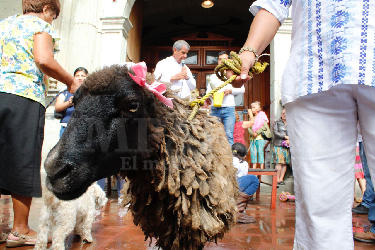 Celebran a San Ramón Nonato en Oaxaca. Noticias en tiempo real