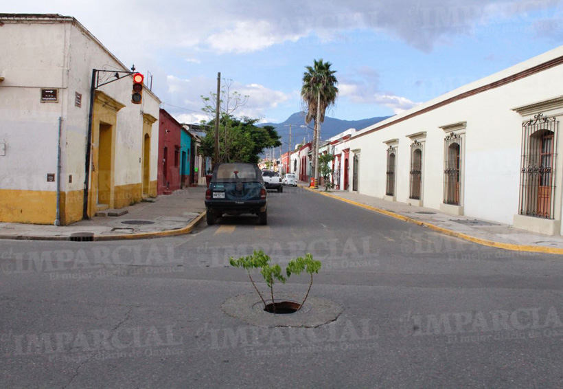 Adornan alcantarillas en calles del centro histórico de Oaxaca. Noticias en tiempo real