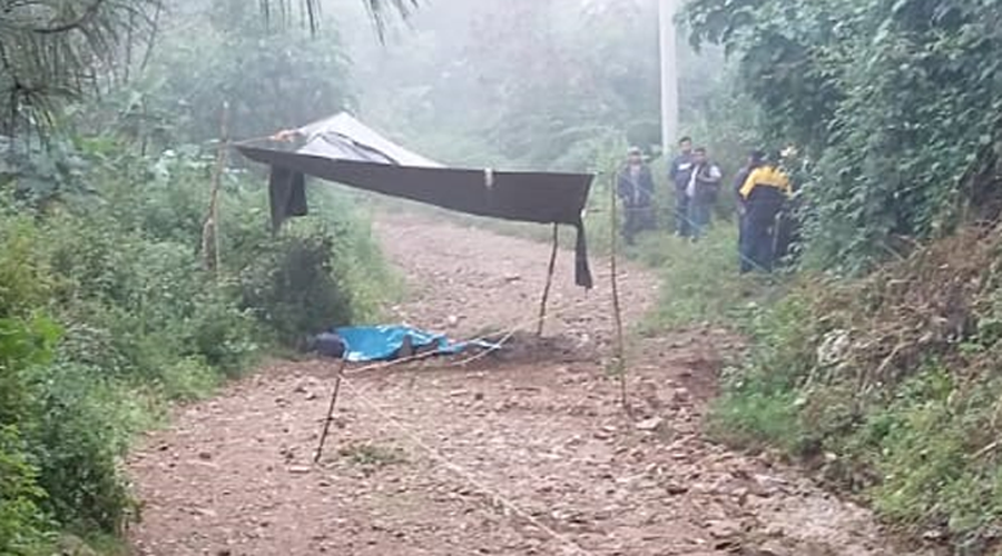 Investigan asesinato de campesino en Miahuatlán. Noticias en tiempo real