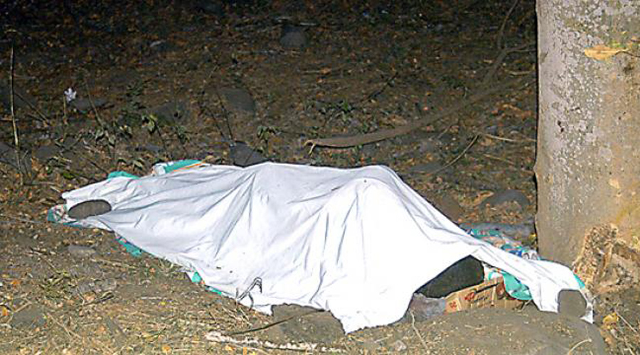 Mujer droga, ejecuta y entierra a su amante en el patio de su casa. Noticias en tiempo real