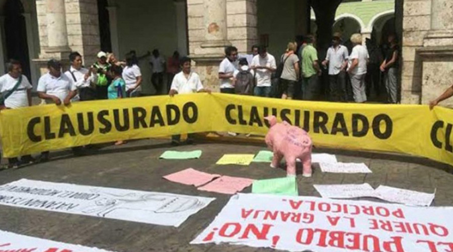 Protestan por granja porcina en Homún; advierten afectaciones al turismo. Noticias en tiempo real