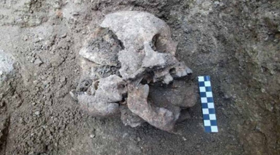 Encuentran el esqueleto de un ‘niño vampiro’ en Italia. Noticias en tiempo real