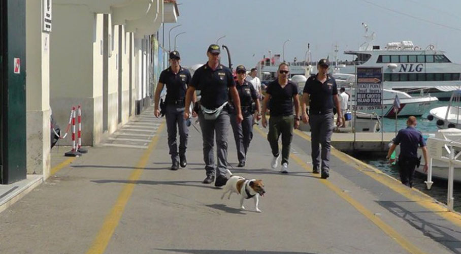 La mafia italiana ofrece recompensa por la cabeza de un perro policía. Noticias en tiempo real