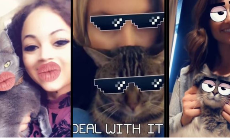 Snapchat agrega filtros que funcionan en tu gato. Noticias en tiempo real