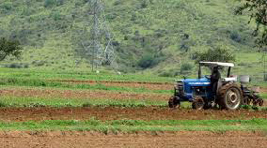 Impulsan agroindustria sustentable en Oaxaca. Noticias en tiempo real