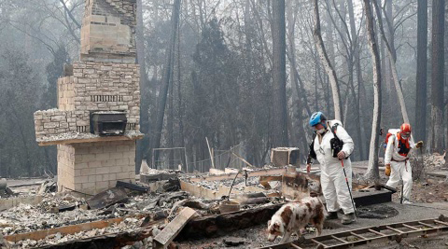 Suben a 80 los muertos por incendios en California. Noticias en tiempo real